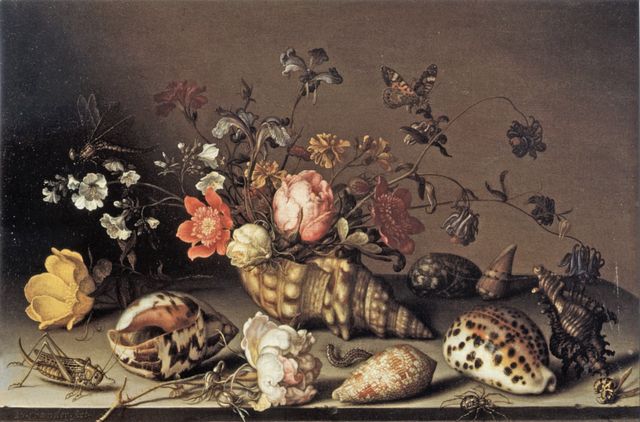 Sotheby's — Balthasar van der Ast. Still Life of Flowers, Shells and Insects on a Stone Ledge — insieme